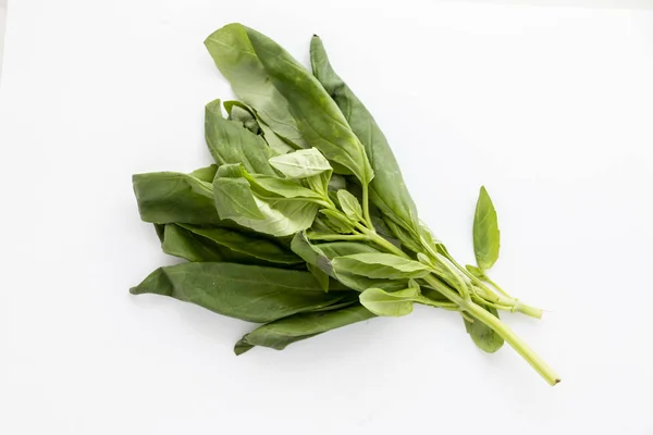 En handfull naturlig och grön basilika för matlagning — Stockfoto