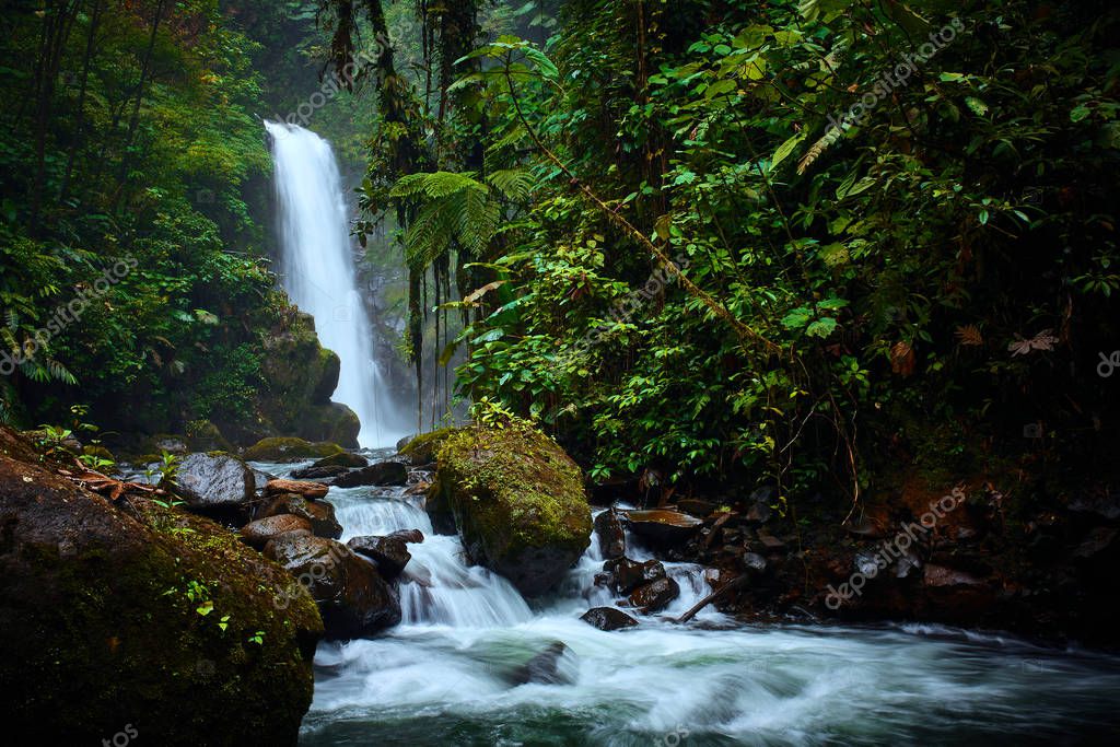 Gran cascada en bosque tropical. La vanguardia de las cataratas de La