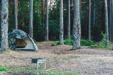 Ormanda kamp çadırı ve barbekü ızgarası