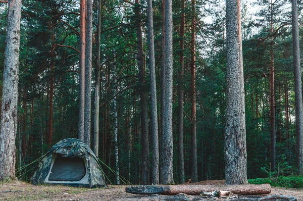 Camping tent deep in the dark forest — ストック写真