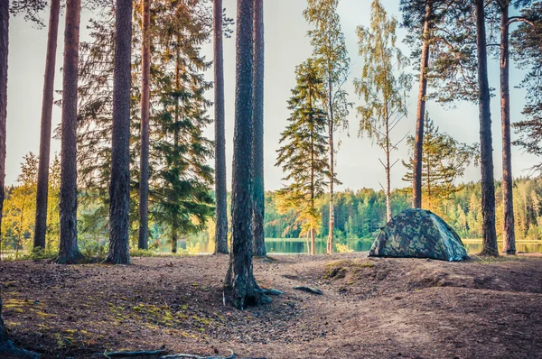 Gölün kıyısında kamp çadırı olan orman manzarası — Stok fotoğraf