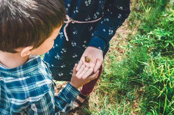 Twee kinderen kijken naar kleine slak bij de hand — Stockfoto