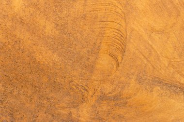 Tree trunk after being cut. Wood texture and background. Gangue 