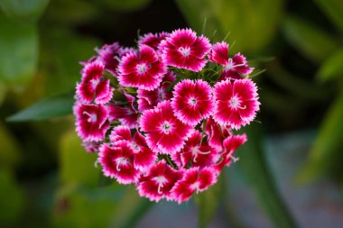 Beyaz arkaplanda siyah kablosuz klavye faresi izole