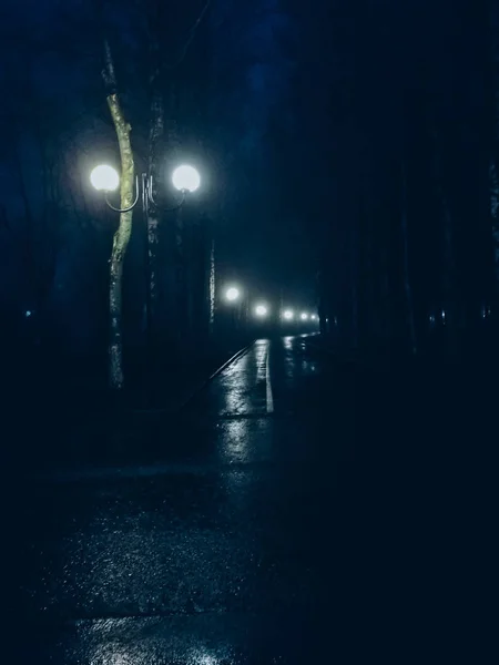 Foggy Night City — Stock Photo, Image