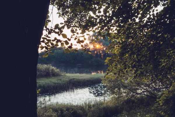 Mglisty Wschód Słońca Nad Rzeką — Zdjęcie stockowe