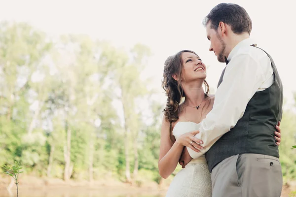 Bride and groom standing arm in  against the background grass  lakes — Stock Photo, Image