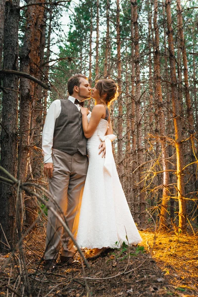 Δραματική εικόνα νύφη και το γαμπρό στο φόντο του οπίσθιου φωτισμού δάσος φύλλα — Φωτογραφία Αρχείου