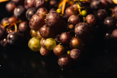 Meyveler olgun kırmızı üzüm şube yakın Tarih