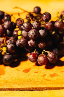 Meyveler olgun kırmızı üzüm şube yakın çekim üzerinde arka plan bulanık