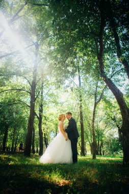 Çift gelin ve damat park'ın ağaçlar arka plan üzerinde