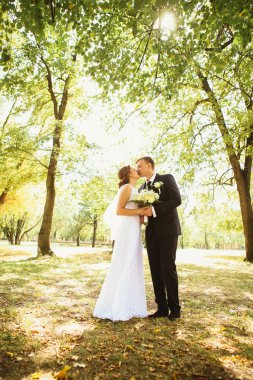 Park geçmişinde bir çift gelin ve damat