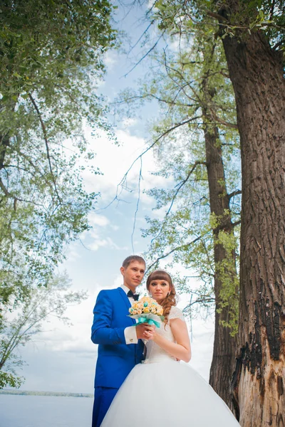 Sposa e sposo in piedi abbracciando sullo sfondo di alberi — Foto Stock