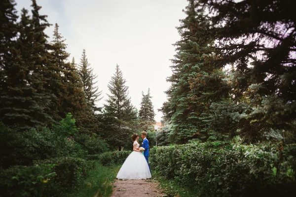 Mariée et marié debout sur le fond de la nature — Photo