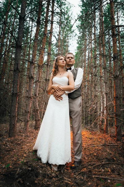 森林背光戏剧性图片新娘和新郎的树叶背景 — 图库照片