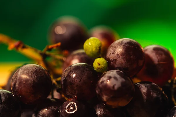 Bogyók érett piros szőlő, a fióktelep közelről elmosódott háttér — Stock Fotó