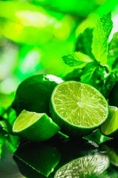 Casa da moeda verde fresca e close-up de limão em um fundo escuro — Fotografia de Stock