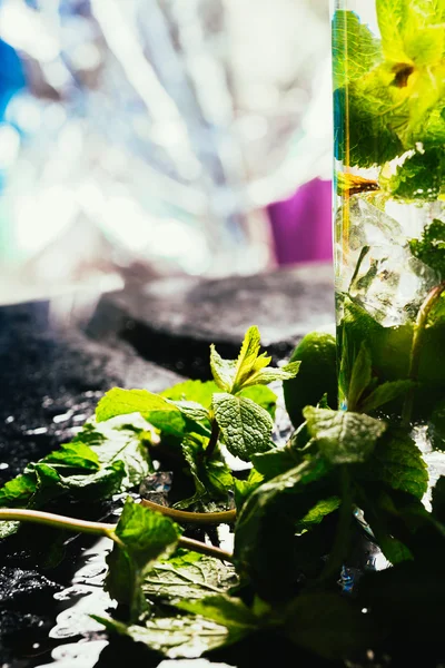 Mojito flaska med lime och mynta is kub närbild på mörk bakgrund — Stockfoto