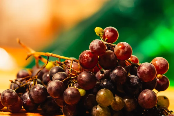 Bagas uvas vermelhas maduras em um ramo close-up fundo borrado — Fotografia de Stock