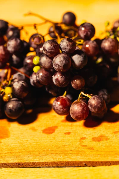 Meyveler olgun kırmızı üzüm şube yakın çekim üzerinde arka plan bulanık