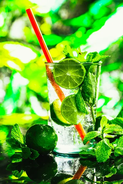 Glas Mojito mit Limetten- und Minzeiswürfel in Nahaufnahme aus rotem Stroh — Stockfoto