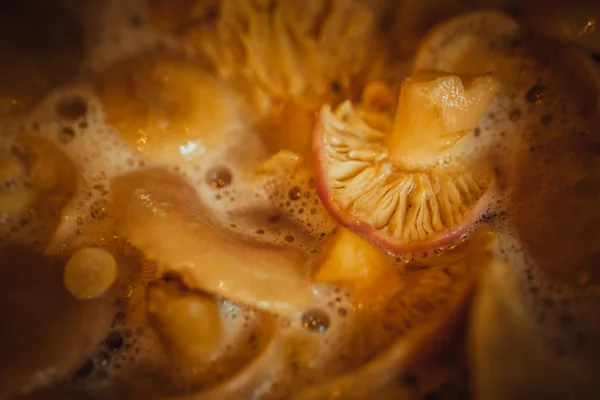 Champiñones cocinados en una cacerola de cerca —  Fotos de Stock