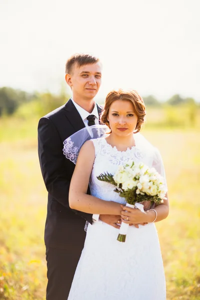 Couple bride and groom on field background — Stock Photo, Image