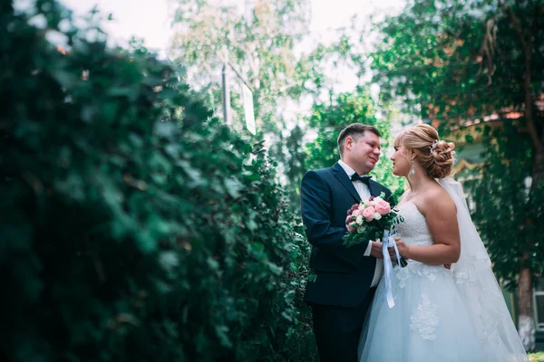 Жених и невеста на фоне забора в саду — стоковое фото