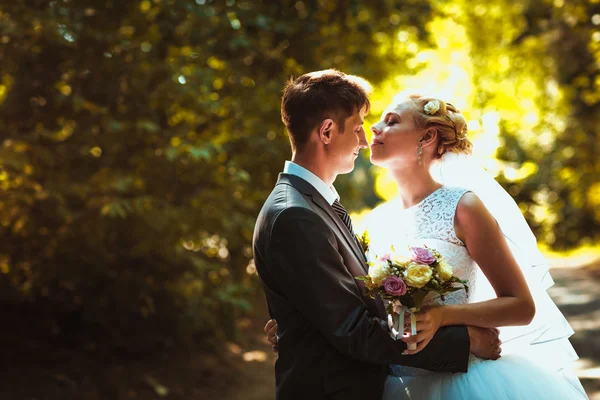 Noiva e noivo no fundo da floresta — Fotografia de Stock