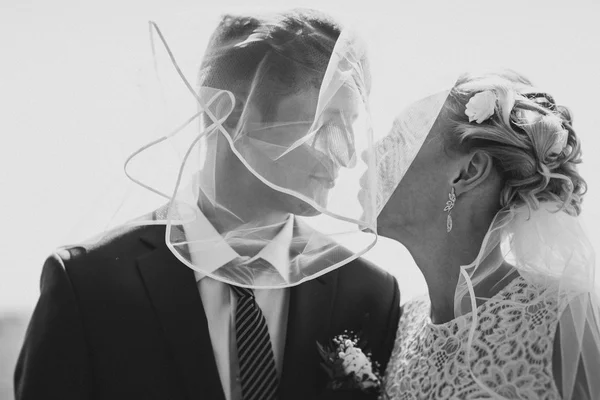 Black and white photo the bride  groom on the background of fiel — Stock Photo, Image