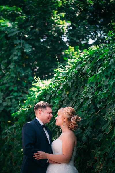 Nevěsta a ženich na pozadí zahradní plot — Stock fotografie