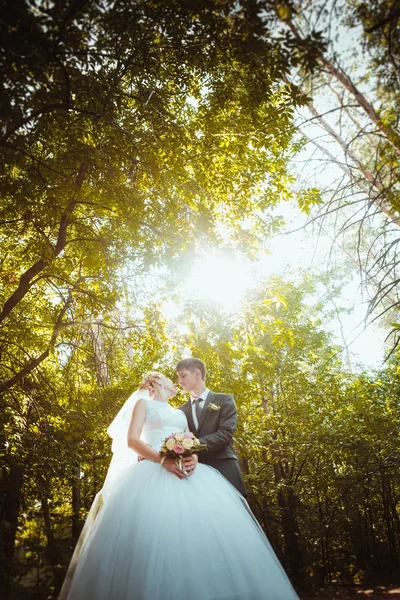 Novia y novio en el fondo del bosque — Foto de Stock