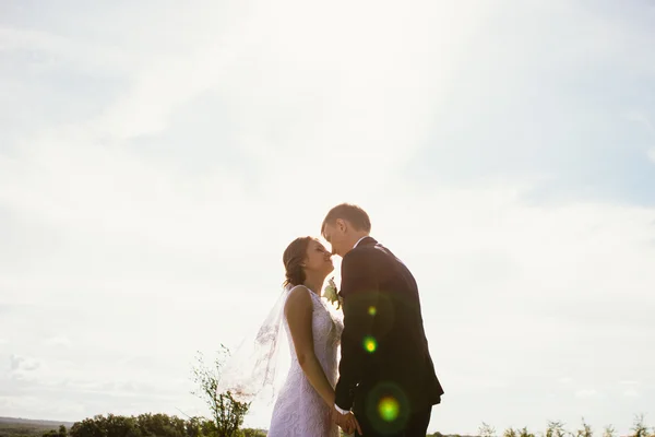 Couple bride and groom on field background — Stock Photo, Image