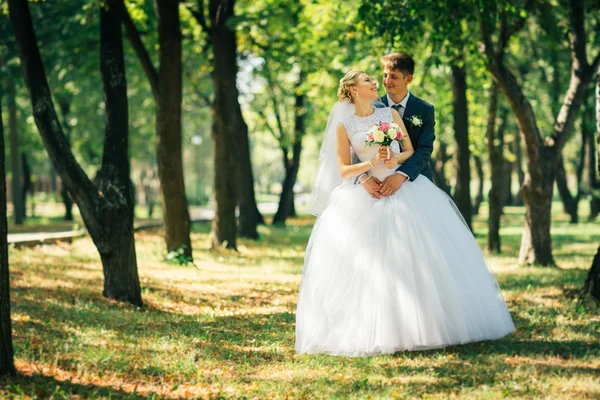 The bride and groom on the background of the park alley — Stock Photo, Image