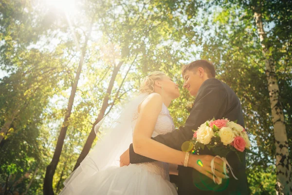 Retrato de la novia y el novio en el fondo del callejón del parque — Foto de Stock