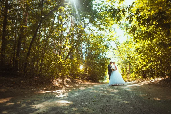 Noiva e noivo no fundo da floresta — Fotografia de Stock