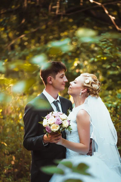 Menyasszony és a vőlegény az erdőben háttér — Stock Fotó