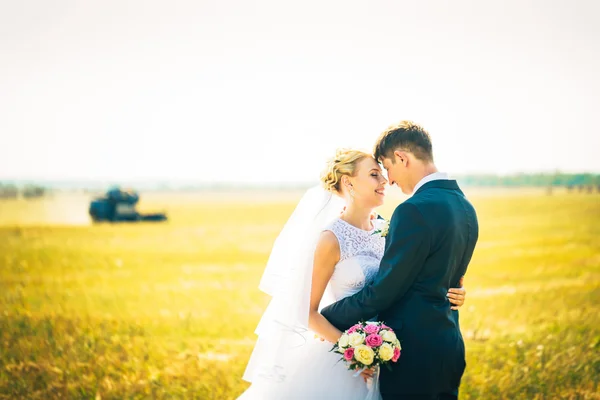 La novia y el novio en el fondo del campo — Foto de Stock