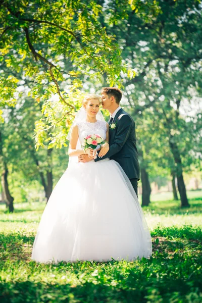 portre gelin ve damat park sokak arka plan üzerinde