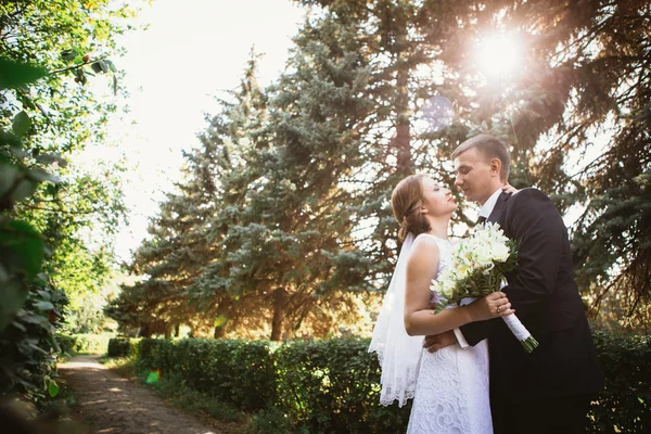 Park geçmişinde bir çift gelin ve damat