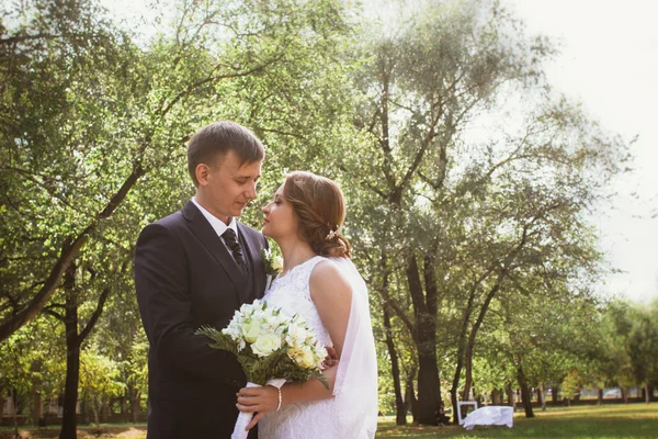 Pár menyasszony és vőlegény egy park háttér — Stock Fotó