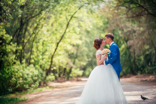 Young bride and groom embracing against the backdrop of the forest the road — Stock Photo, Image