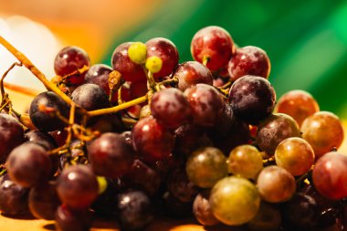 Meyveler olgun kırmızı üzüm şube yakın çekim üzerinde arka plan bulanık