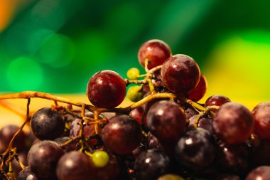 Meyveler olgun kırmızı üzüm şube yakın çekim üzerinde arka plan bulanık