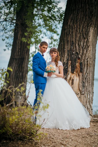 Mariée et marié debout sur le fond des arbres — Photo