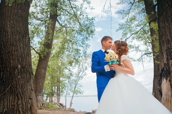 Bride and groom kissing on the background of trees — Stock Photo, Image