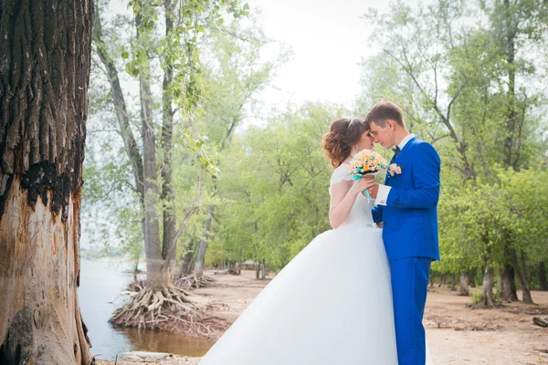 Noiva e noivo de pé beijando no fundo da natureza — Fotografia de Stock