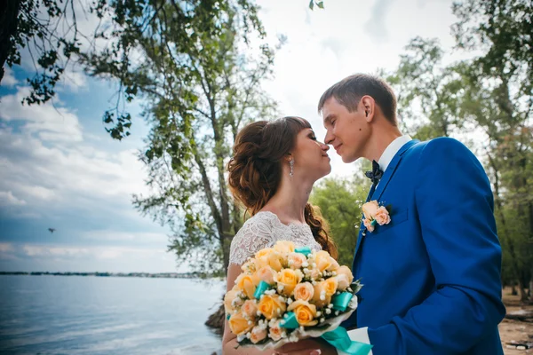 Bride and groom standing kissing in the background of the nature — Stock Photo, Image