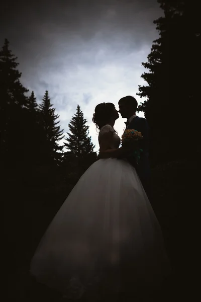 Siluetas de novia y novio besándose en la naturaleza de fondo — Foto de Stock