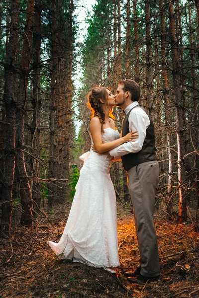 Dramatisches Bild Braut und Bräutigam auf dem Hintergrund von Blättern Waldhintergrundbeleuchtung — Stockfoto